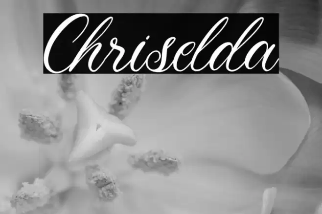 Chriselda Font examples