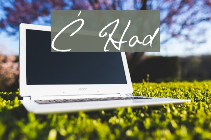 Chris's Handwriting Font examples