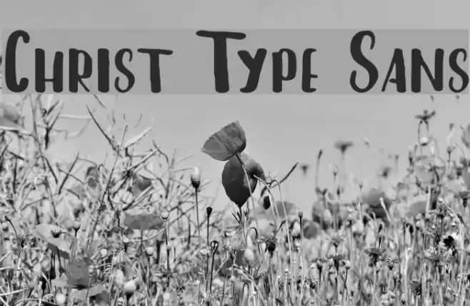 Christ Type Sans Font examples