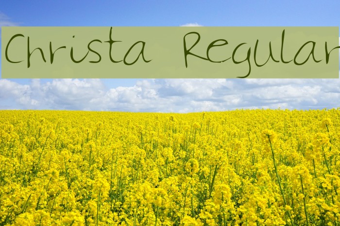 Christa Regular Font examples