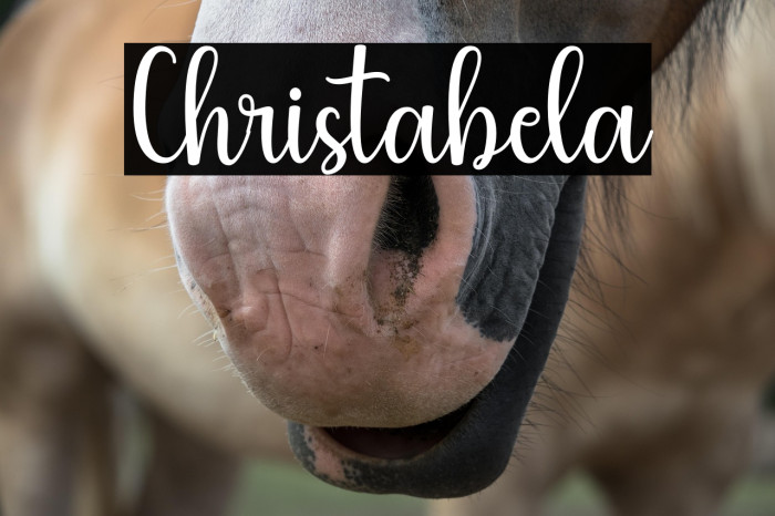 Christabela Example 2