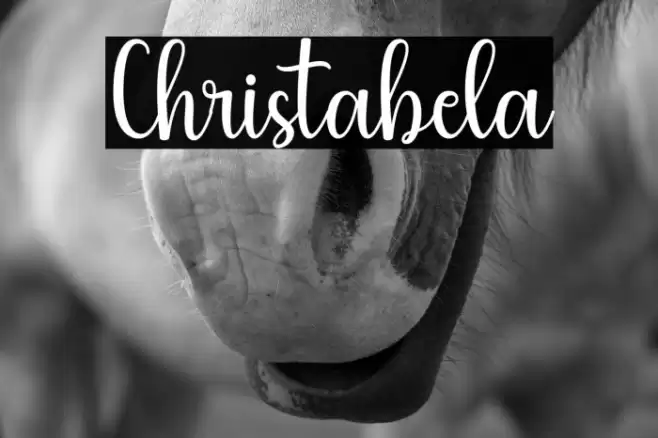 Christabela Font examples
