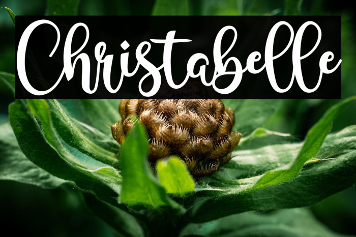 Christabelle Example 2