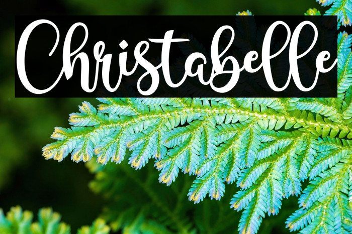 Christabelle Example 3