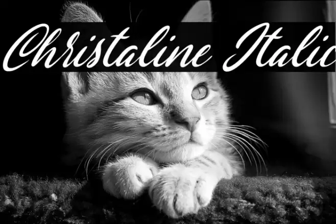 Christaline Italic Font examples