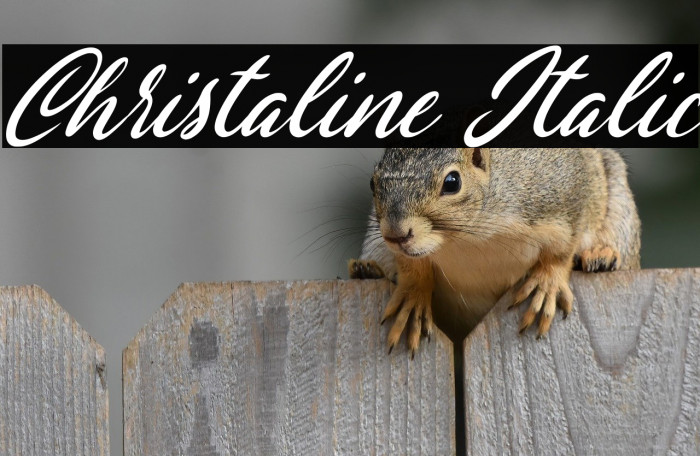 Christaline Italic Example 2