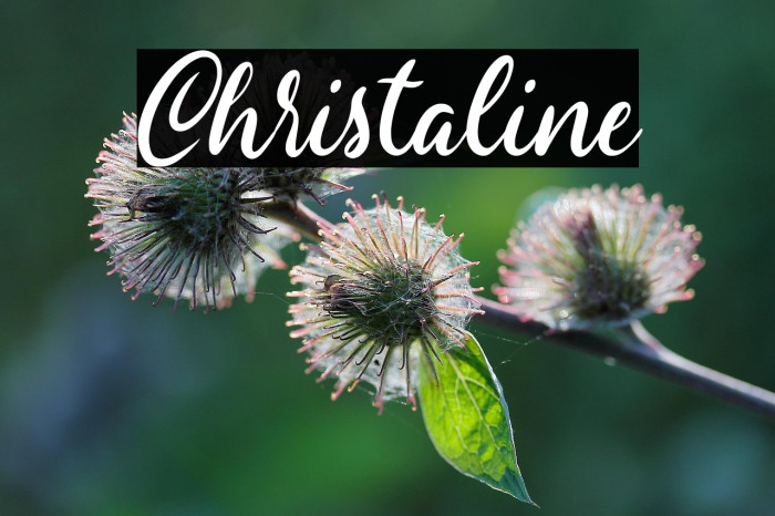 Christaline Example 3