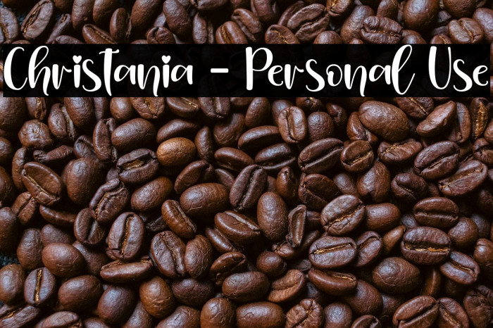 Christania - Personal Use Example 1