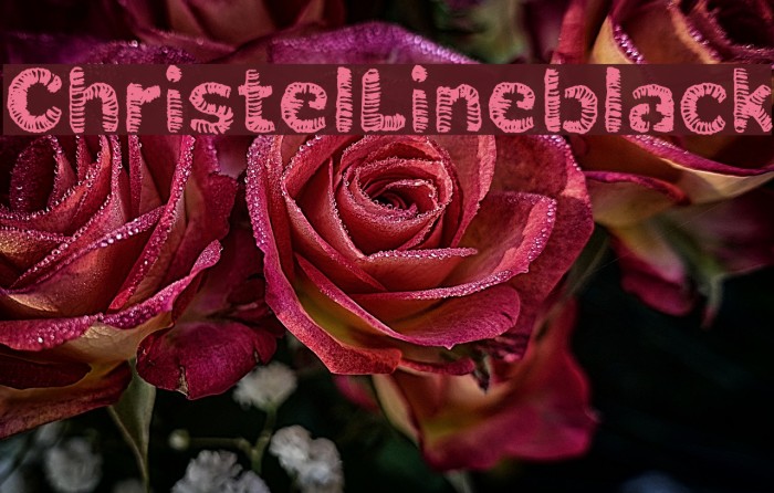 ChristelLineblack Font examples