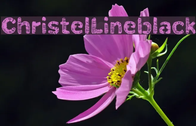 ChristelLineblack Example 3