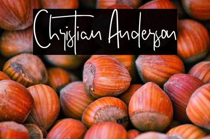 Christian Anderson Example 1