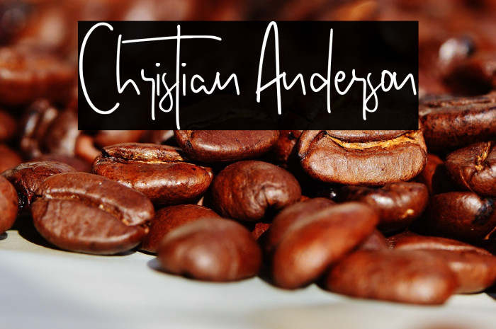 Christian Anderson Example 3