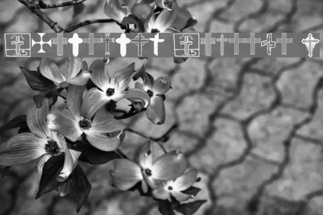 Christian Crosses V Font examples