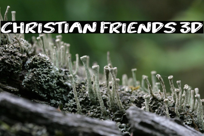 Christian Friends 3D Example 1