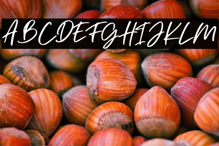 Christian Heedlay Example 2