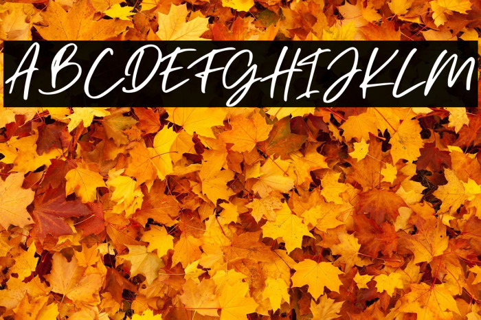 Christian Heedlay Example 3