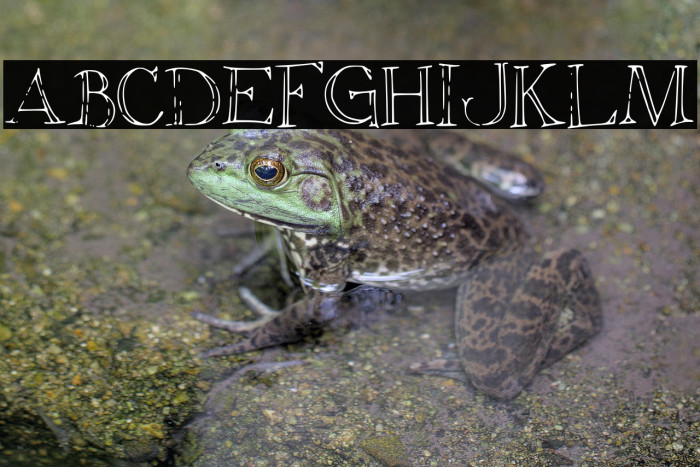 Christiana Example 1