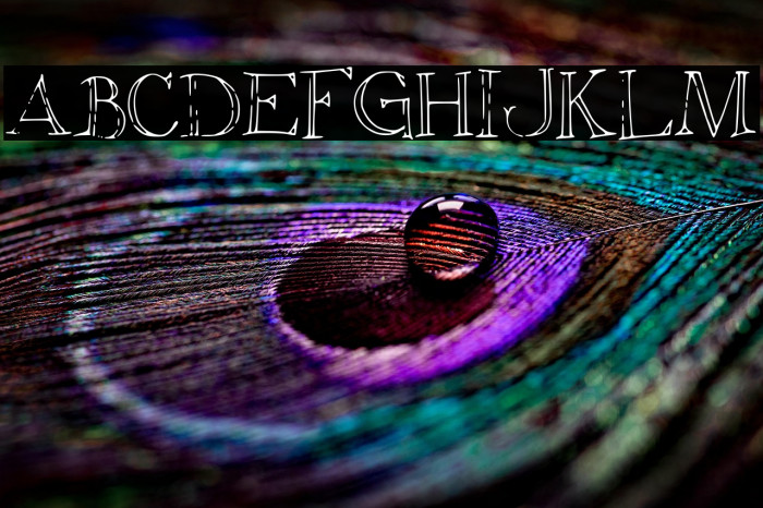 Christiana Example 2