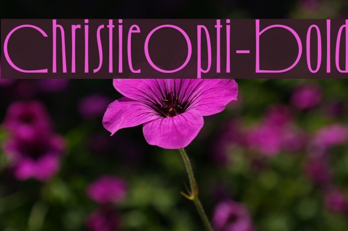 ChristieOpti-Bold Font examples