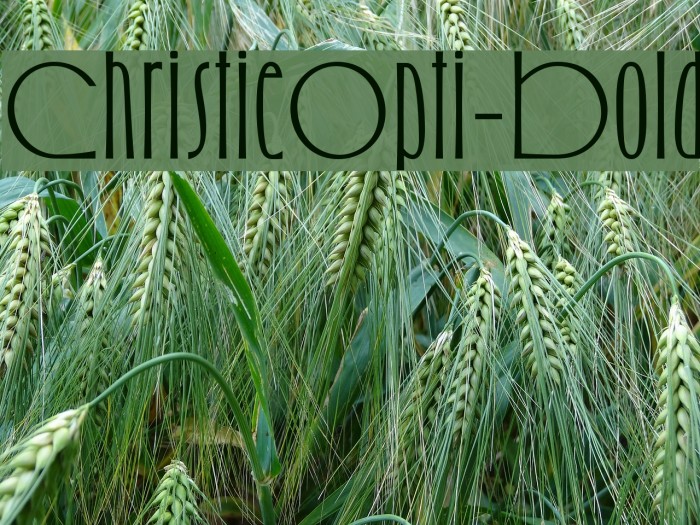 ChristieOpti-Bold Font examples