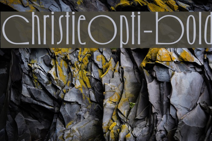 ChristieOpti-Bold Font examples
