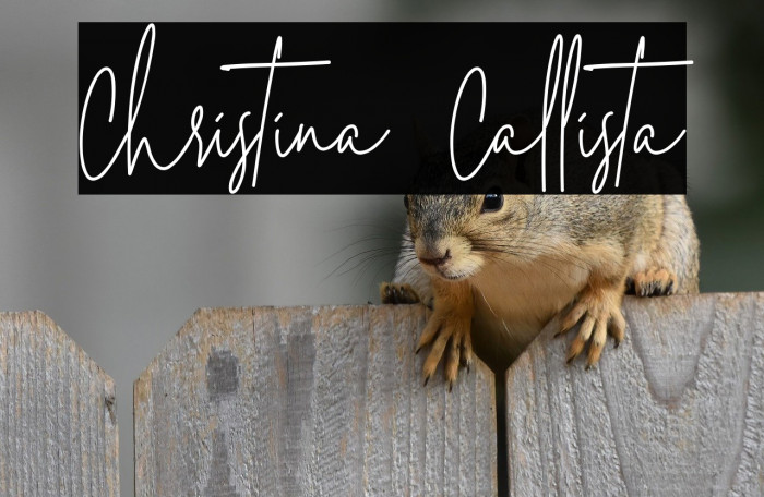 Christina Callista Example 1