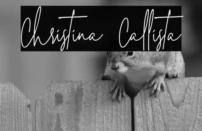 Christina Callista  examples