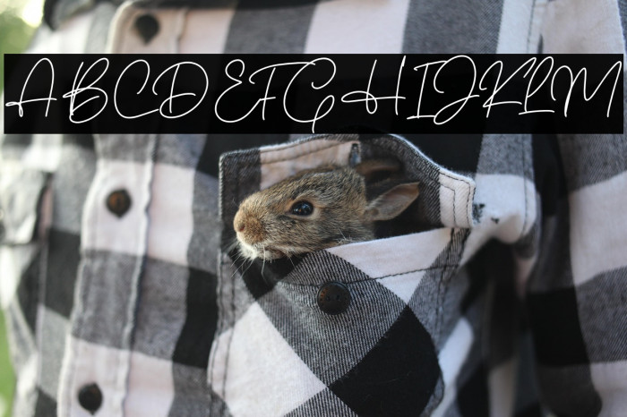 Christina Signature Example 2