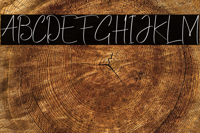 ChristinaAllie Example 1