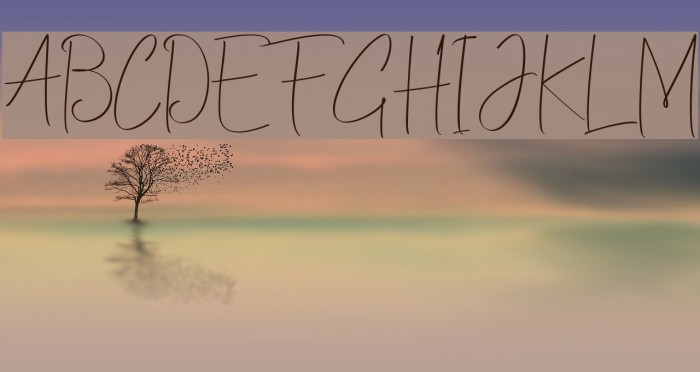 ChristinaAllie Example 1