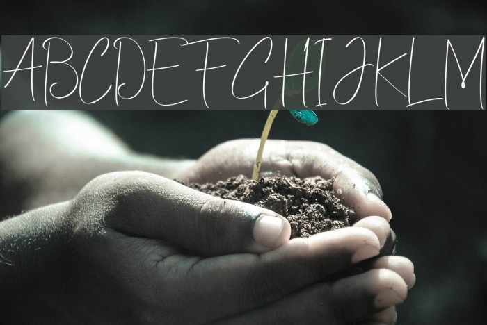 ChristinaAllie Example 3