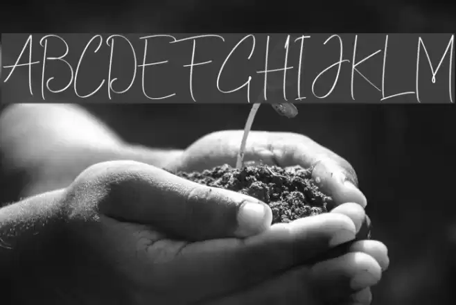 ChristinaAllie Font examples