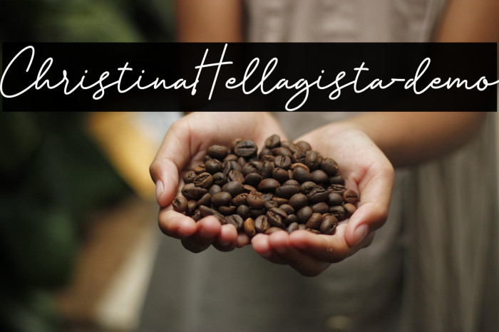 ChristinaHellagista-demo Example 1