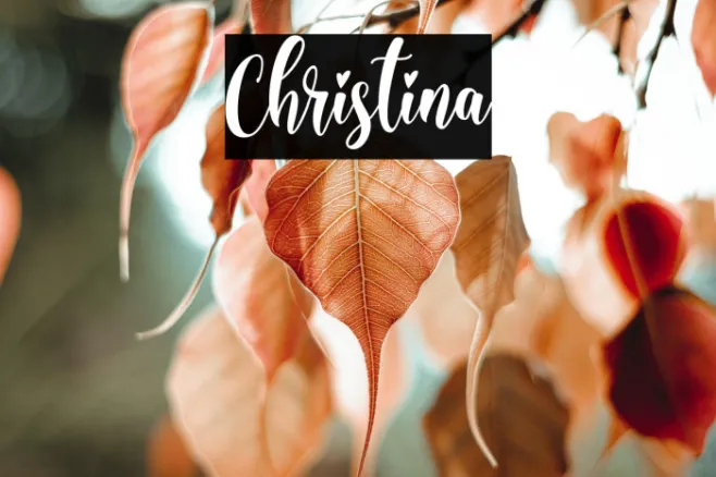 Christina Example 1