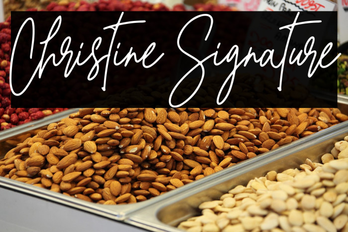 Christine Signature Example 1