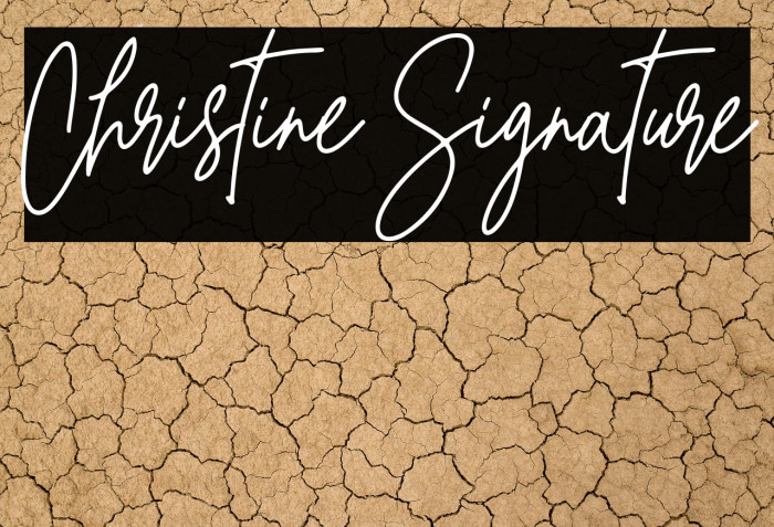 Christine Signature Example 2
