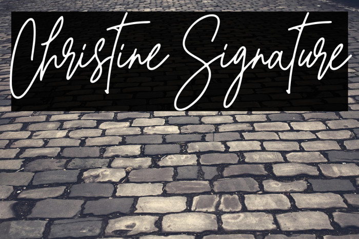 Christine Signature Example 3