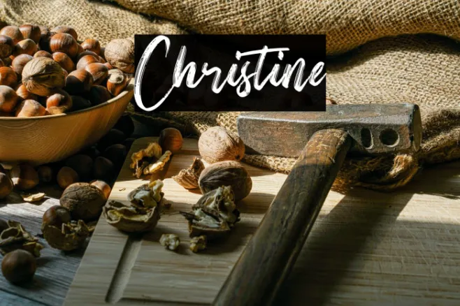 Christine Example 1