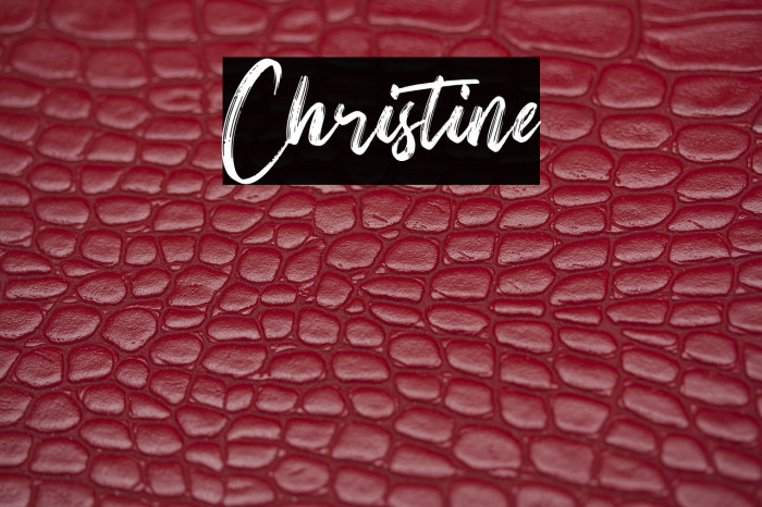 Christine Example 3