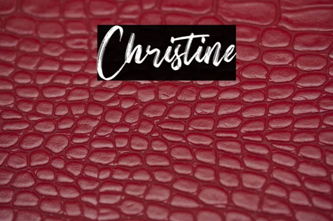 Christine Example 3