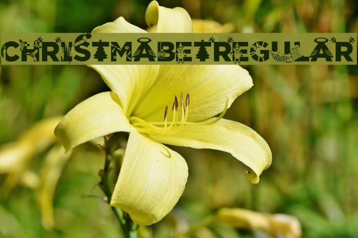ChristmabetRegular Font examples