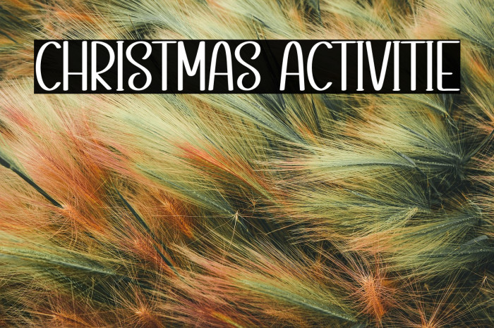 Christmas Activitie Example 2