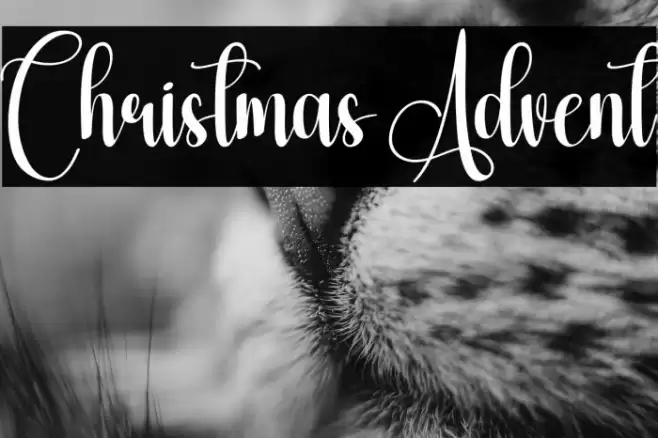 Christmas Advent Шрифта examples