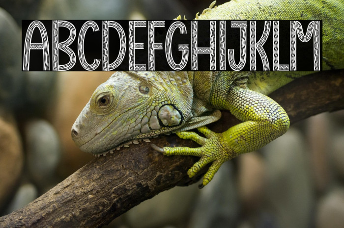 Christmas And Candy Example 2