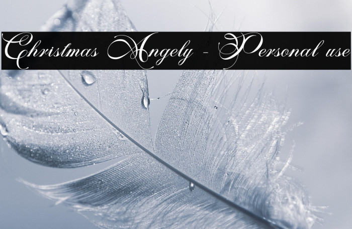 Christmas Angely - Personal use Example 3
