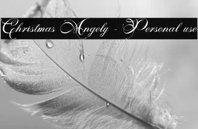 Christmas Angely - Personal use フォント examples