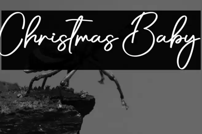 Christmas Baby Schriftart examples