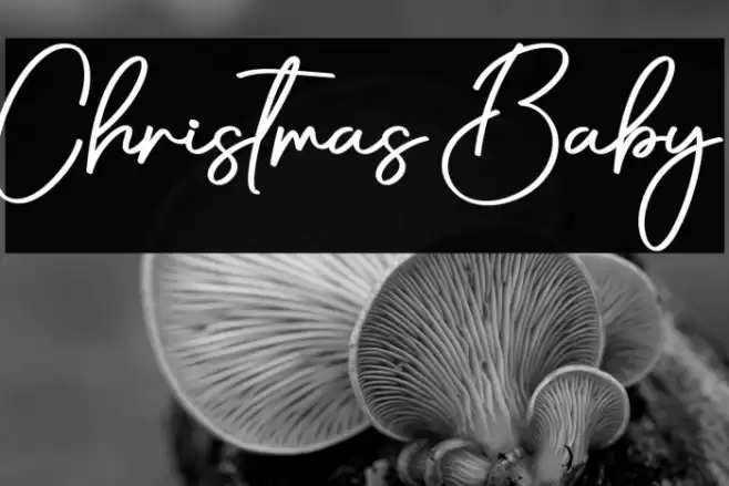 Christmas Baby Schriftart examples