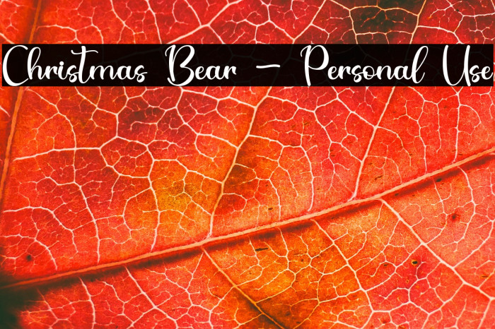 Christmas Bear - Personal Use Example 1