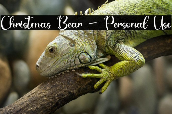 Christmas Bear - Personal Use Example 2
